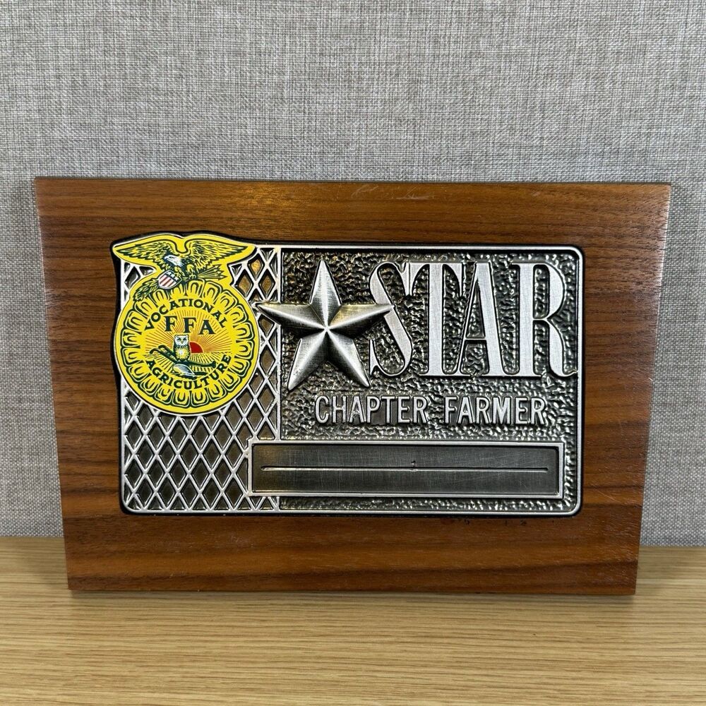 Vintage FFA Star Chapter Farmer Wood Award Plaque Unengraved Blank Memorabilia